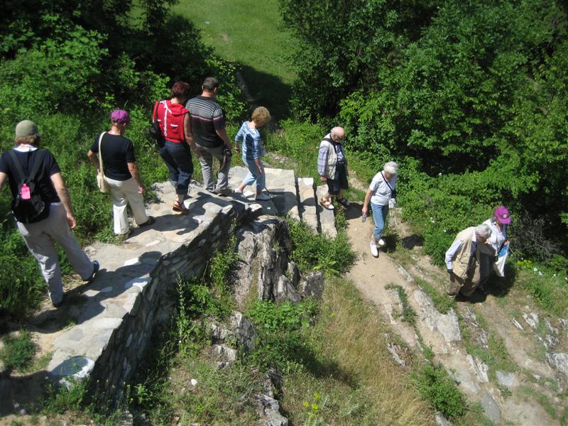 IMG_0084 (Medium)
